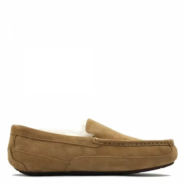 Mens Ascot Chestnut, Каштан